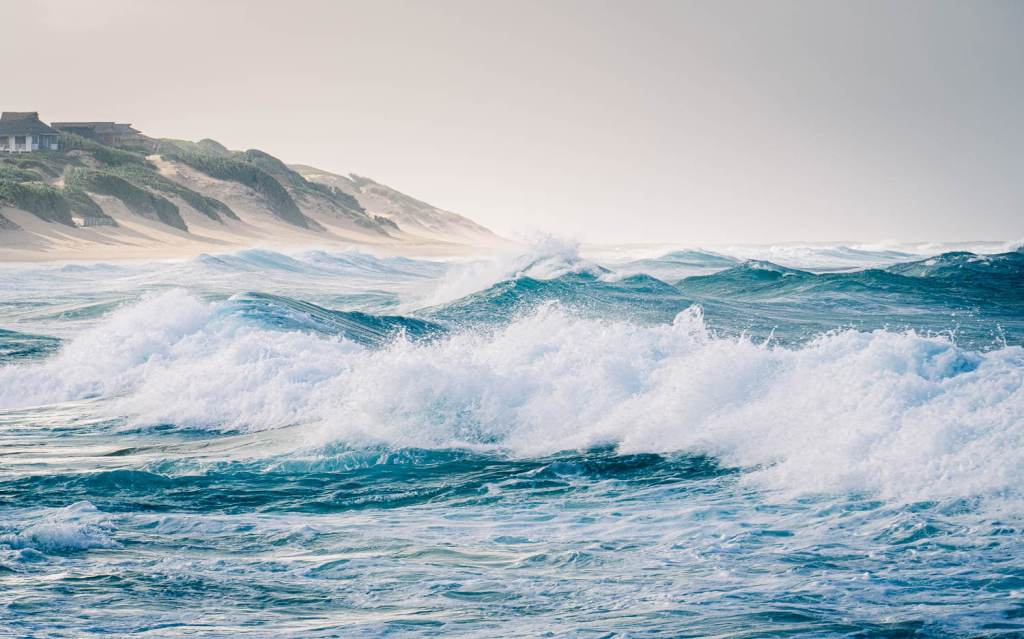 Calamari, Surﬁng &&nbsp;Diving