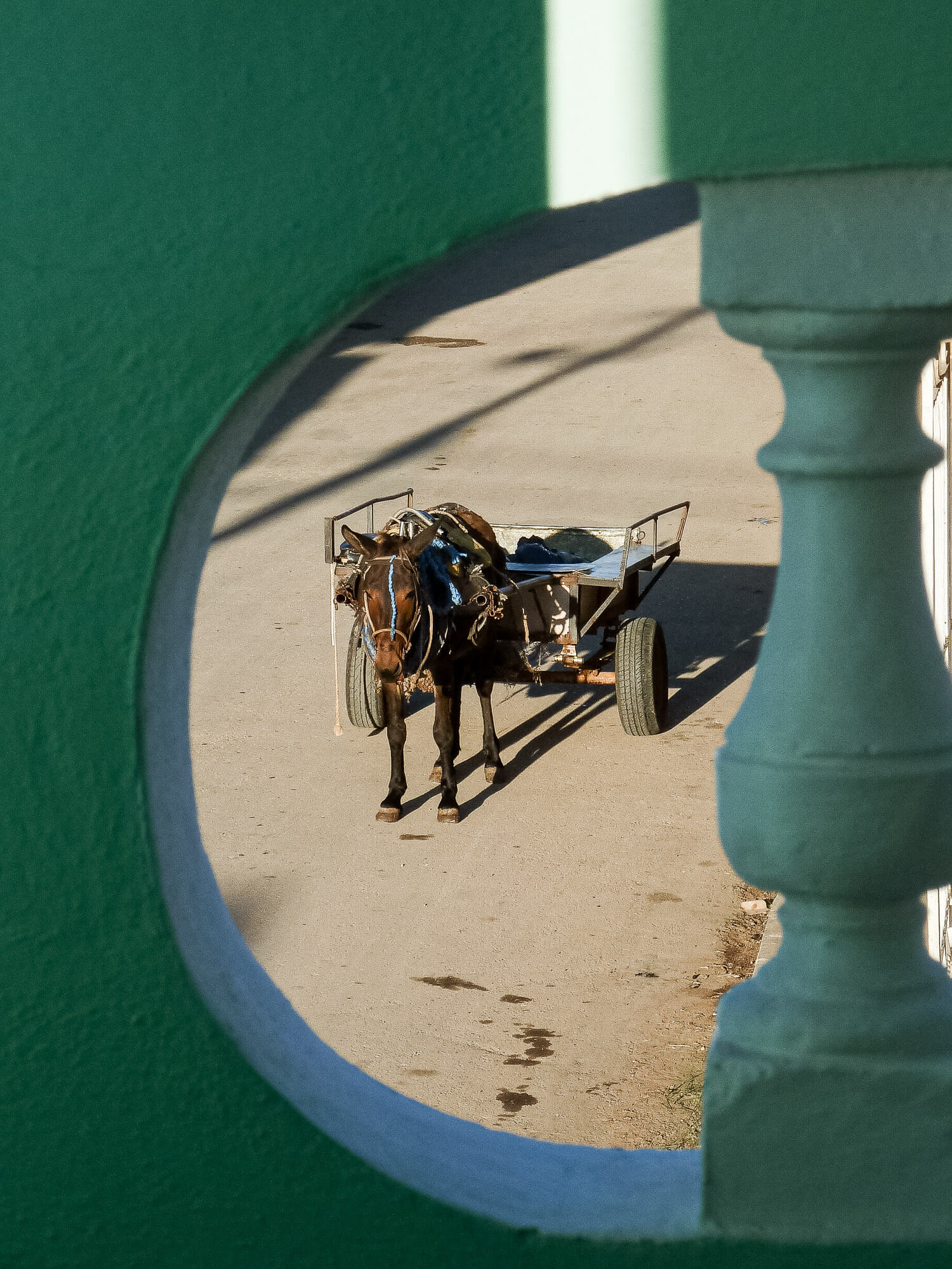 Horse and cart viewed from balcony