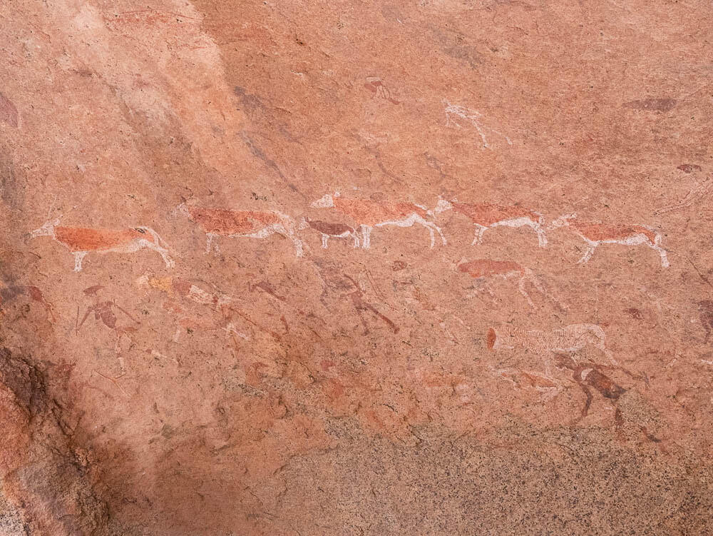 Rock paintings of various animals