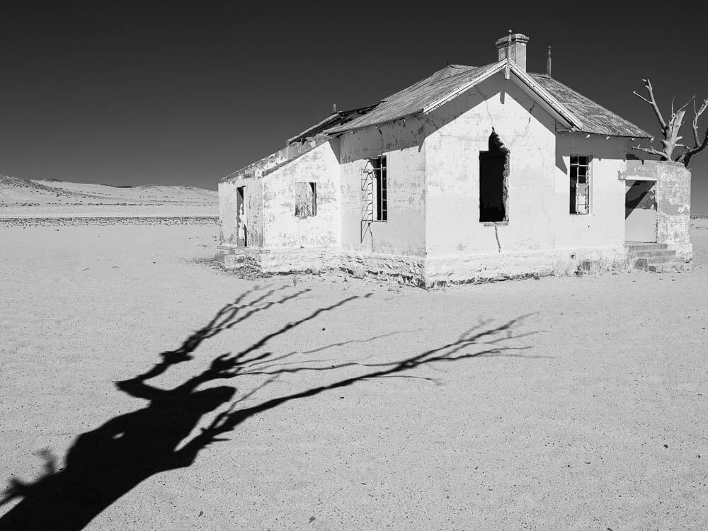 Abandoned house in desert landscape with dead tree in foreground