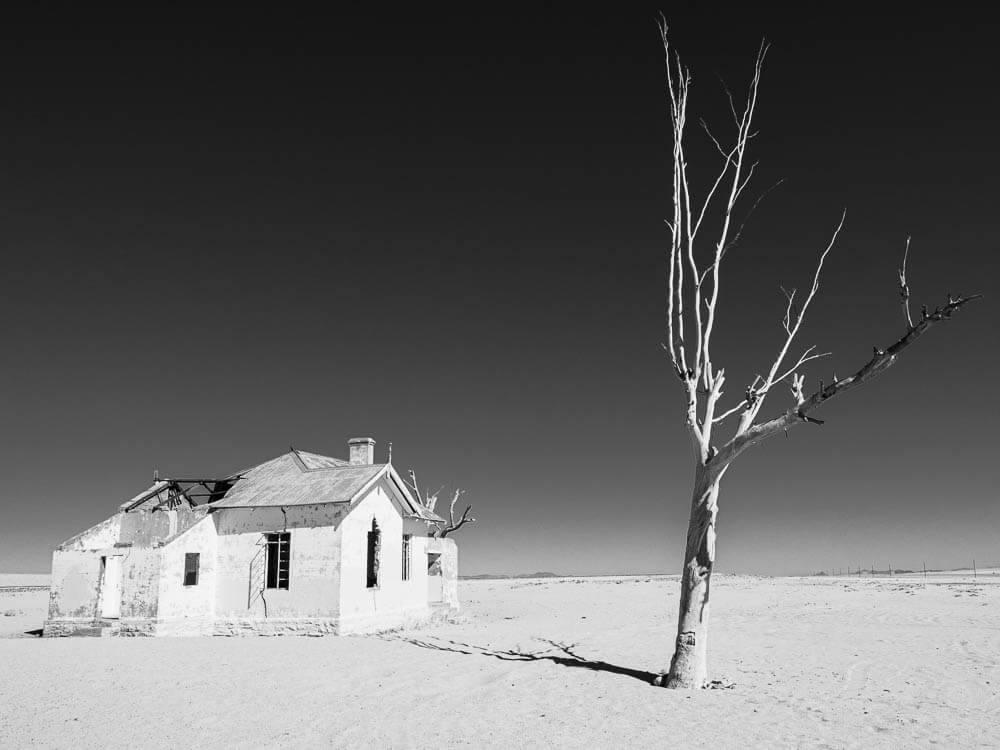 Abandoned house in desert landscape with dead tree in foreground