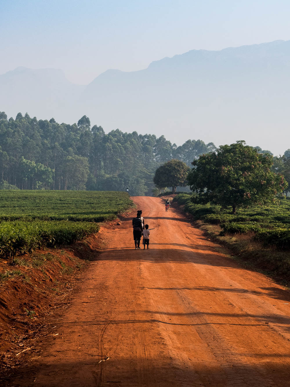 People walking down a red sandy road with Mount Mulanje in the background