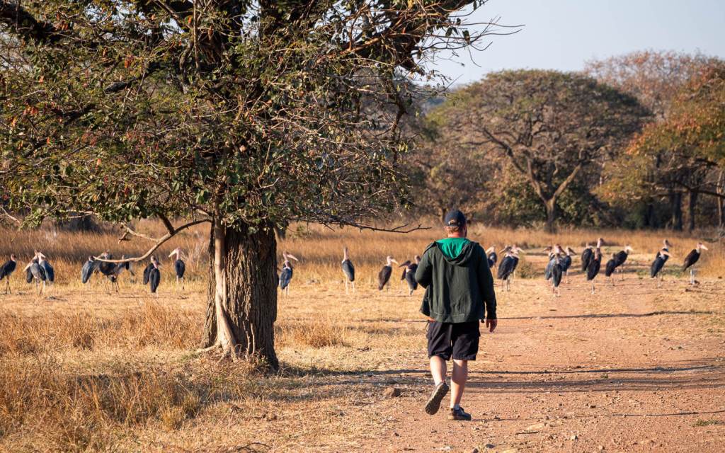 Big Transit, Potholes &&nbsp;Lakes